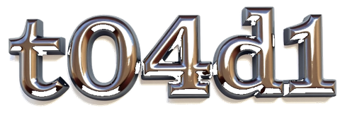t04d1 logo